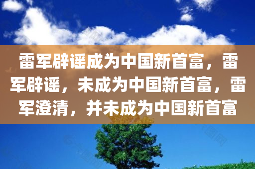 雷军辟谣成为中国新首富，雷军辟谣，未成为中国新首富，雷军澄清，并未成为中国新首富