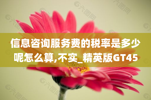 信息咨询服务费的税率是多少呢怎么算,不实_精英版GT45