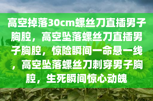 高空掉落30cm螺丝刀直插男子胸腔，高空坠落螺丝刀直插男子胸腔，惊险瞬间一命悬一线，高空坠落螺丝刀刺穿男子胸腔，生死瞬间惊心动魄