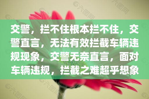 交警，拦不住根本拦不住，交警直言，无法有效拦截车辆违规现象，交警无奈直言，面对车辆违规，拦截之难超乎想象