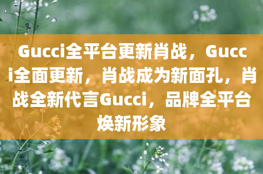 Gucci全平台更新肖战，Gucci全面更新，肖战成为新面孔，肖战全新代言Gucci，品牌全平台焕新形象