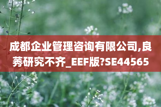 成都企业管理咨询有限公司,良莠研究不齐_EEF版?SE44565