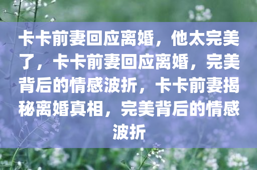 卡卡前妻回应离婚，他太完美了，卡卡前妻回应离婚，完美背后的情感波折，卡卡前妻揭秘离婚真相，完美背后的情感波折