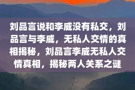 刘品言说和李威没有私交，刘品言与李威，无私人交情的真相揭秘，刘品言李威无私人交情真相，揭秘两人关系之谜