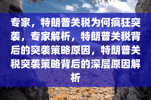 专家，特朗普关税为何疯狂突袭，专家解析，特朗普关税背后的突袭策略原因，特朗普关税突袭策略背后的深层原因解析