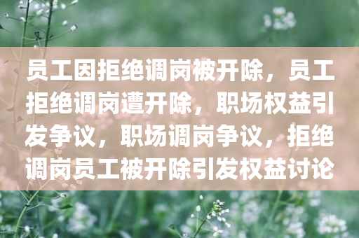 员工因拒绝调岗被开除，员工拒绝调岗遭开除，职场权益引发争议，职场调岗争议，拒绝调岗员工被开除引发权益讨论