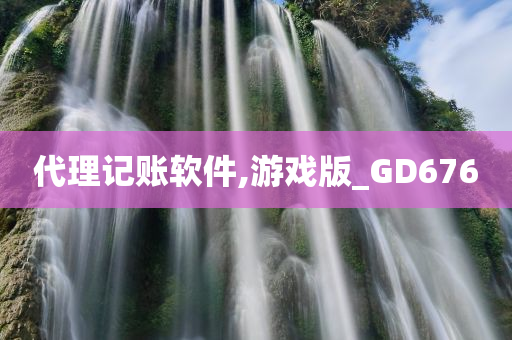 代理记账软件,游戏版_GD676