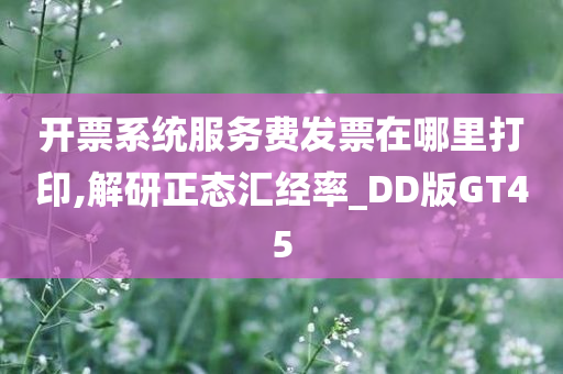 开票系统服务费发票在哪里打印,解研正态汇经率_DD版GT45