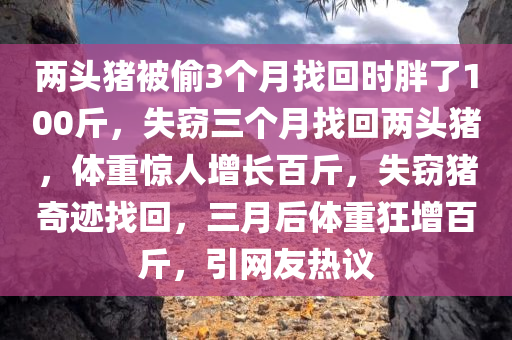 两头猪被偷3个月找回时胖了100斤，失窃三个月找回两头猪，体重惊人增长百斤，失窃猪奇迹找回，三月后体重狂增百斤，引网友热议