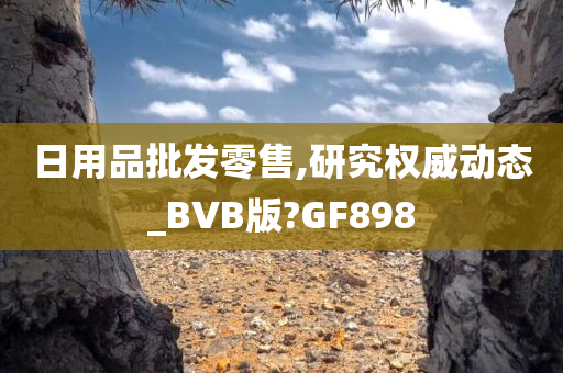 日用品批发零售,研究权威动态_BVB版?GF898