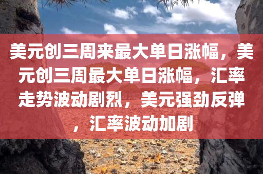 美元创三周来最大单日涨幅，美元创三周最大单日涨幅，汇率走势波动剧烈，美元强劲反弹，汇率波动加剧