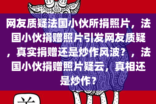 网友质疑法国小伙所捐照片，法国小伙捐赠照片引发网友质疑，真实捐赠还是炒作风波？，法国小伙捐赠照片疑云，真相还是炒作？