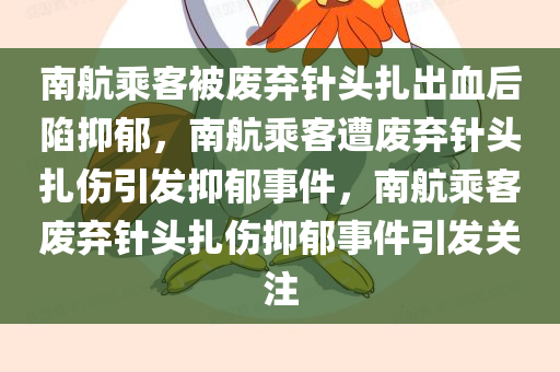 南航乘客被废弃针头扎出血后陷抑郁，南航乘客遭废弃针头扎伤引发抑郁事件，南航乘客废弃针头扎伤抑郁事件引发关注