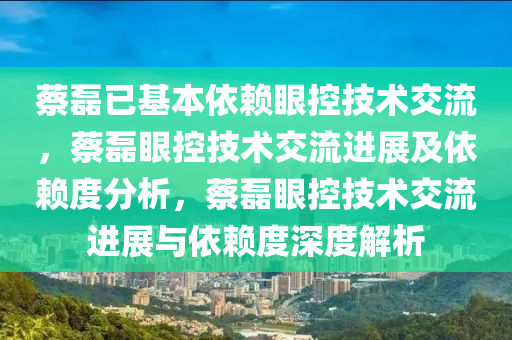 蔡磊已基本依赖眼控技术交流，蔡磊眼控技术交流进展及依赖度分析，蔡磊眼控技术交流进展与依赖度深度解析