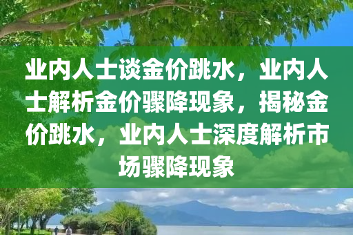 业内人士谈金价跳水，业内人士解析金价骤降现象，揭秘金价跳水，业内人士深度解析市场骤降现象