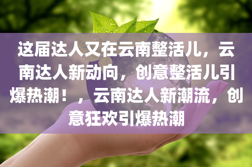 这届达人又在云南整活儿，云南达人新动向，创意整活儿引爆热潮！，云南达人新潮流，创意狂欢引爆热潮