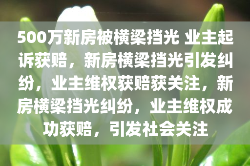 500万新房被横梁挡光 业主起诉获赔，新房横梁挡光引发纠纷，业主维权获赔获关注，新房横梁挡光纠纷，业主维权成功获赔，引发社会关注