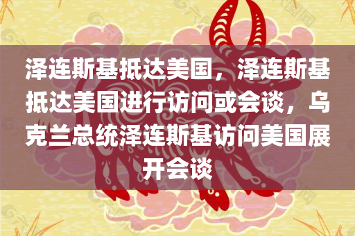 泽连斯基抵达美国，泽连斯基抵达美国进行访问或会谈，乌克兰总统泽连斯基访问美国展开会谈