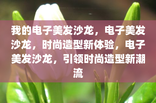 我的电子美发沙龙，电子美发沙龙，时尚造型新体验，电子美发沙龙，引领时尚造型新潮流