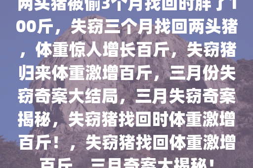 两头猪被偷3个月找回时胖了100斤，失窃三个月找回两头猪，体重惊人增长百斤，失窃猪归来体重激增百斤，三月份失窃奇案大结局，三月失窃奇案揭秘，失窃猪找回时体重激增百斤！，失窃猪找回体重激增百斤，三月奇案大揭秘！