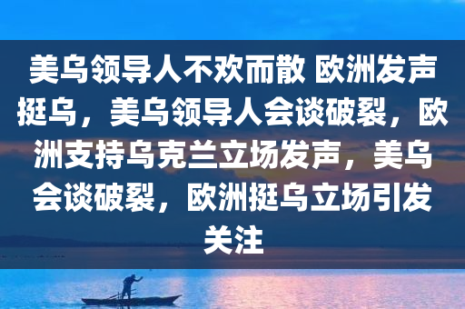 美乌领导人不欢而散 欧洲发声挺乌，美乌领导人会谈破裂，欧洲支持乌克兰立场发声，美乌会谈破裂，欧洲挺乌立场引发关注