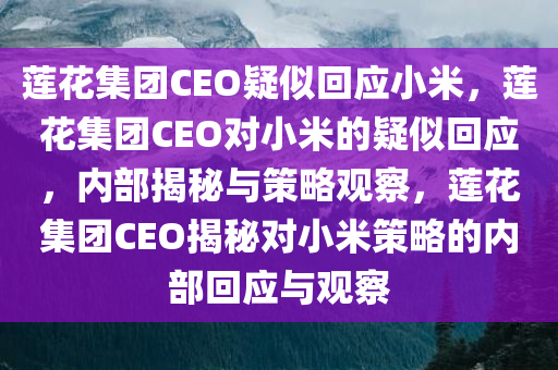 莲花集团CEO疑似回应小米，莲花集团CEO对小米的疑似回应，内部揭秘与策略观察，莲花集团CEO揭秘对小米策略的内部回应与观察