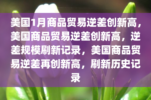 美国1月商品贸易逆差创新高，美国商品贸易逆差创新高，逆差规模刷新记录，美国商品贸易逆差再创新高，刷新历史记录