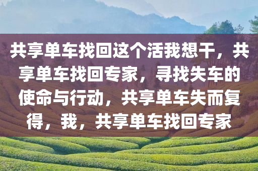 共享单车找回这个活我想干，共享单车找回专家，寻找失车的使命与行动，共享单车失而复得，我，共享单车找回专家