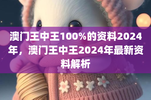 澳门王中王100%的资料2024年，澳门王中王2024年最新资料解析