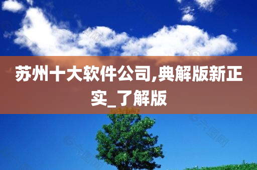 苏州十大软件公司,典解版新正实_了解版