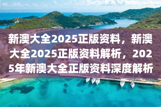 新澳大全2025正版资料，新澳大全2025正版资料解析，2025年新澳大全正版资料深度解析