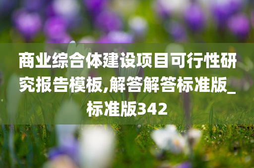 商业综合体建设项目可行性研究报告模板,解答解答标准版_标准版342