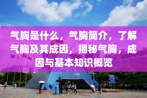 气胸是什么，气胸简介，了解气胸及其成因，揭秘气胸，成因与基本知识概览