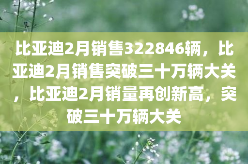 2025年3月2日 第12页