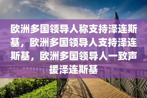 欧洲多国领导人称支持泽连斯基，欧洲多国领导人支持泽连斯基，欧洲多国领导人一致声援泽连斯基