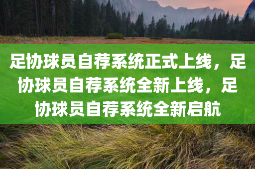 足协球员自荐系统正式上线，足协球员自荐系统全新上线，足协球员自荐系统全新启航