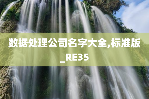 数据处理公司名字大全,标准版_RE35