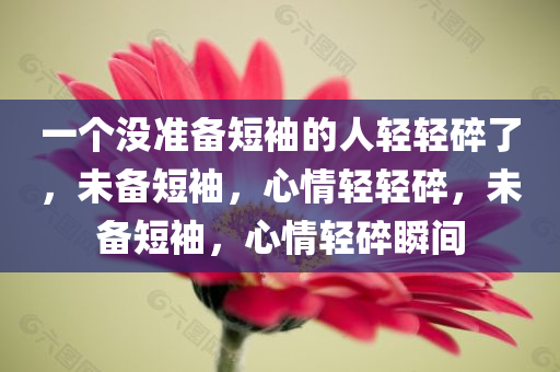 一个没准备短袖的人轻轻碎了，未备短袖，心情轻轻碎，未备短袖，心情轻碎瞬间