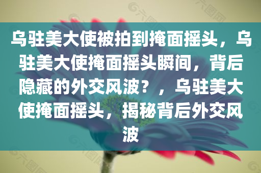 乌驻美大使被拍到掩面摇头，乌驻美大使掩面摇头瞬间，背后隐藏的外交风波？，乌驻美大使掩面摇头，揭秘背后外交风波