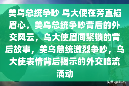 美乌总统争吵 乌大使在旁直掐眉心，美乌总统争吵背后的外交风云，乌大使眉间紧锁的背后故事，美乌总统激烈争吵，乌大使表情背后揭示的外交暗流涌动