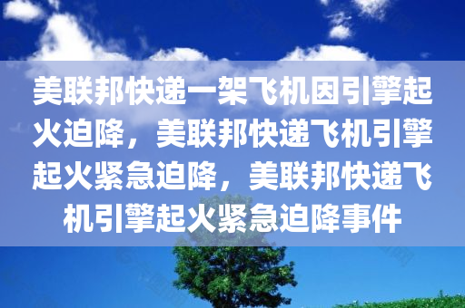 美联邦快递一架飞机因引擎起火迫降，美联邦快递飞机引擎起火紧急迫降，美联邦快递飞机引擎起火紧急迫降事件