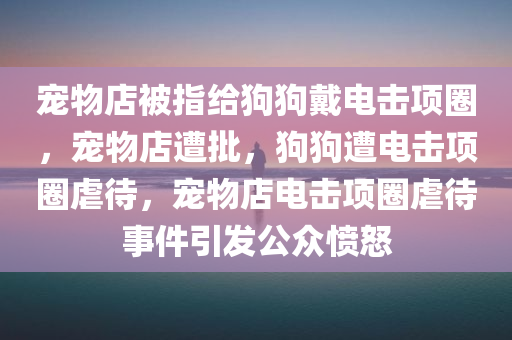 宠物店被指给狗狗戴电击项圈，宠物店遭批，狗狗遭电击项圈虐待，宠物店电击项圈虐待事件引发公众愤怒