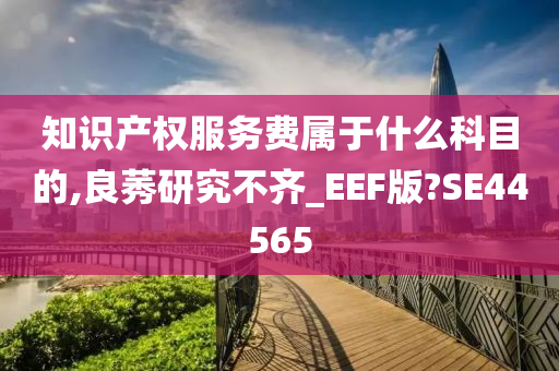 知识产权服务费属于什么科目的,良莠研究不齐_EEF版?SE44565