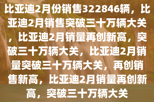 比亚迪2月份销售322846辆，比亚迪2月销售突破三十万辆大关，比亚迪2月销量再创新高，突破三十万辆大关，比亚迪2月销量突破三十万辆大关，再创销售新高，比亚迪2月销量再创新高，突破三十万辆大关