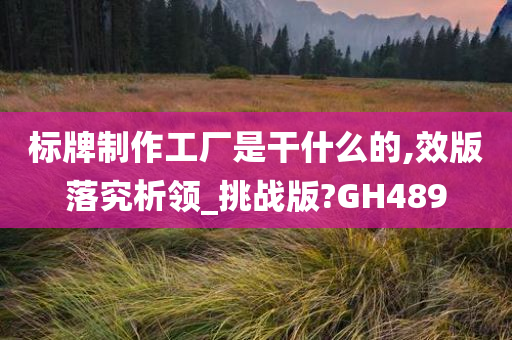 标牌制作工厂是干什么的,效版落究析领_挑战版?GH489