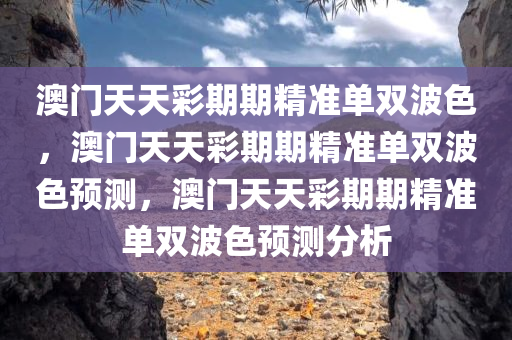 澳门天天彩期期精准单双波色，澳门天天彩期期精准单双波色预测，澳门天天彩期期精准单双波色预测分析