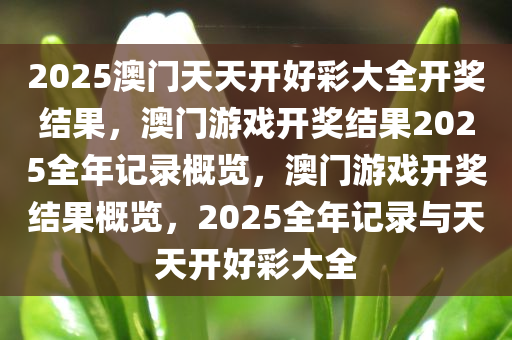 2025澳门天天开好彩大全开奖结果，澳门游戏开奖结果2025全年记录概览，澳门游戏开奖结果概览，2025全年记录与天天开好彩大全