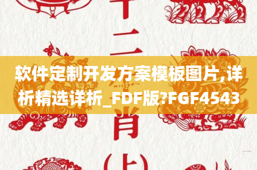 软件定制开发方案模板图片,详析精选详析_FDF版?FGF4543