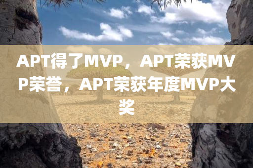 APT得了MVP，APT荣获MVP荣誉，APT荣获年度MVP大奖