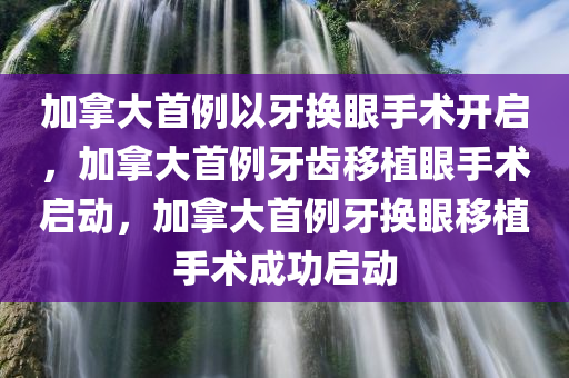 2025年3月3日 第15页